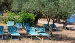 Lago di Garda - 4 lago di garda stabilimento balneare cani parco colabassa